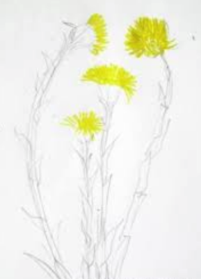 Нарисовать мать и мачеху