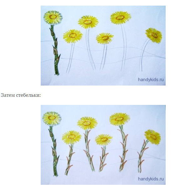 Рисование цветов мать - и –мачеха).