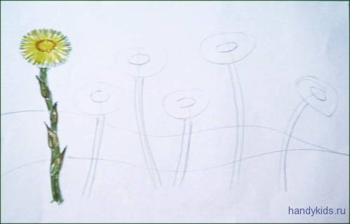 Первоцветы раскраска мать и мачеха