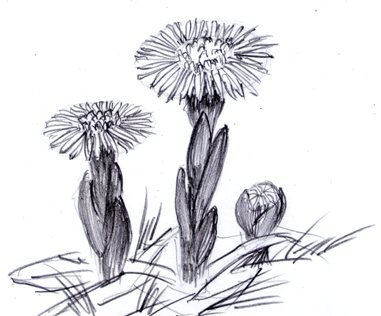 Мать и мачеха карандашом рисунок (47 фото)