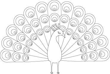 Павлин раскраска для детей