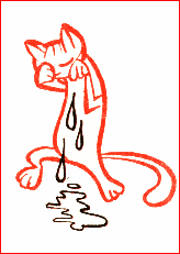 Кот наплакал