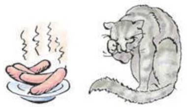 Кот наплакал рисунок