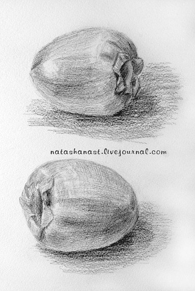 Яйцо Академический рисунок