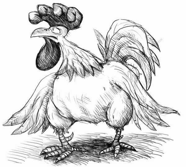 Петух набросок