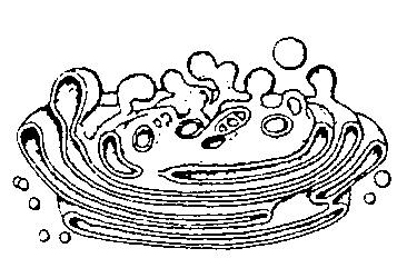 Комплекс Гольджи