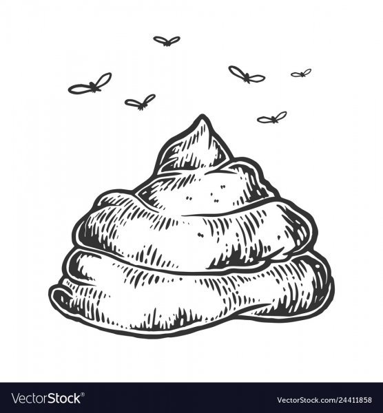 Рисунок какашка карандашом (46 фото)