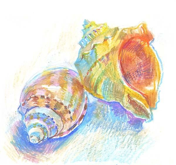 Ракушка пастелью