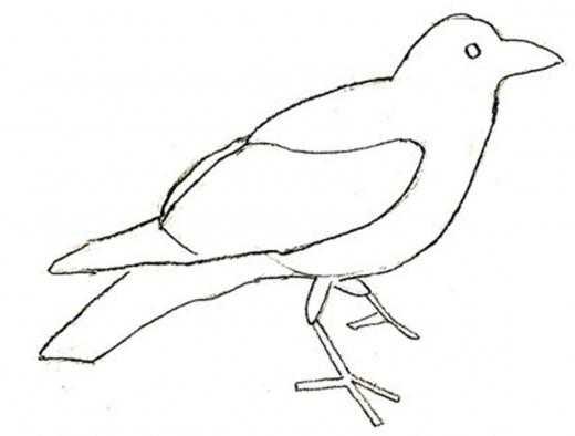 Ворона раскраска для детей