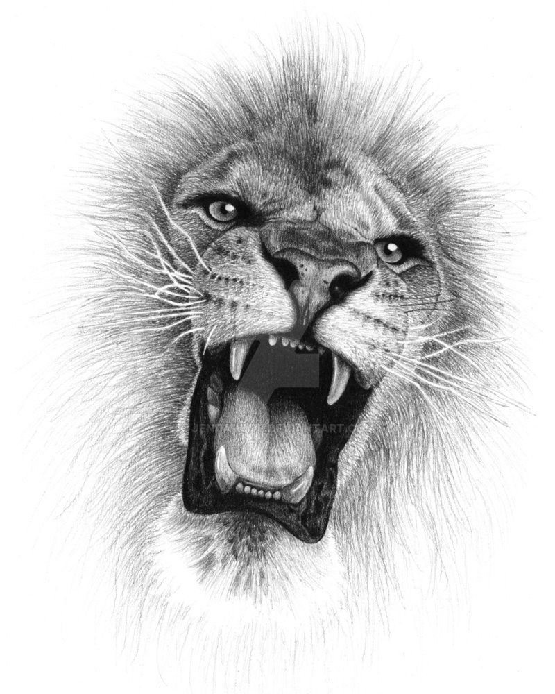 Пасть Льва рисунок