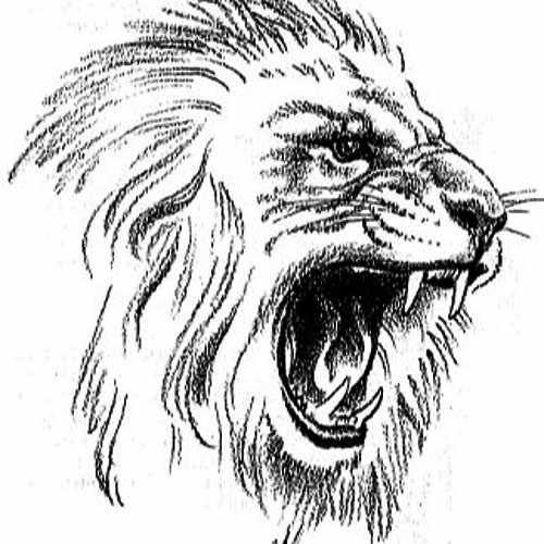Лев рисунок