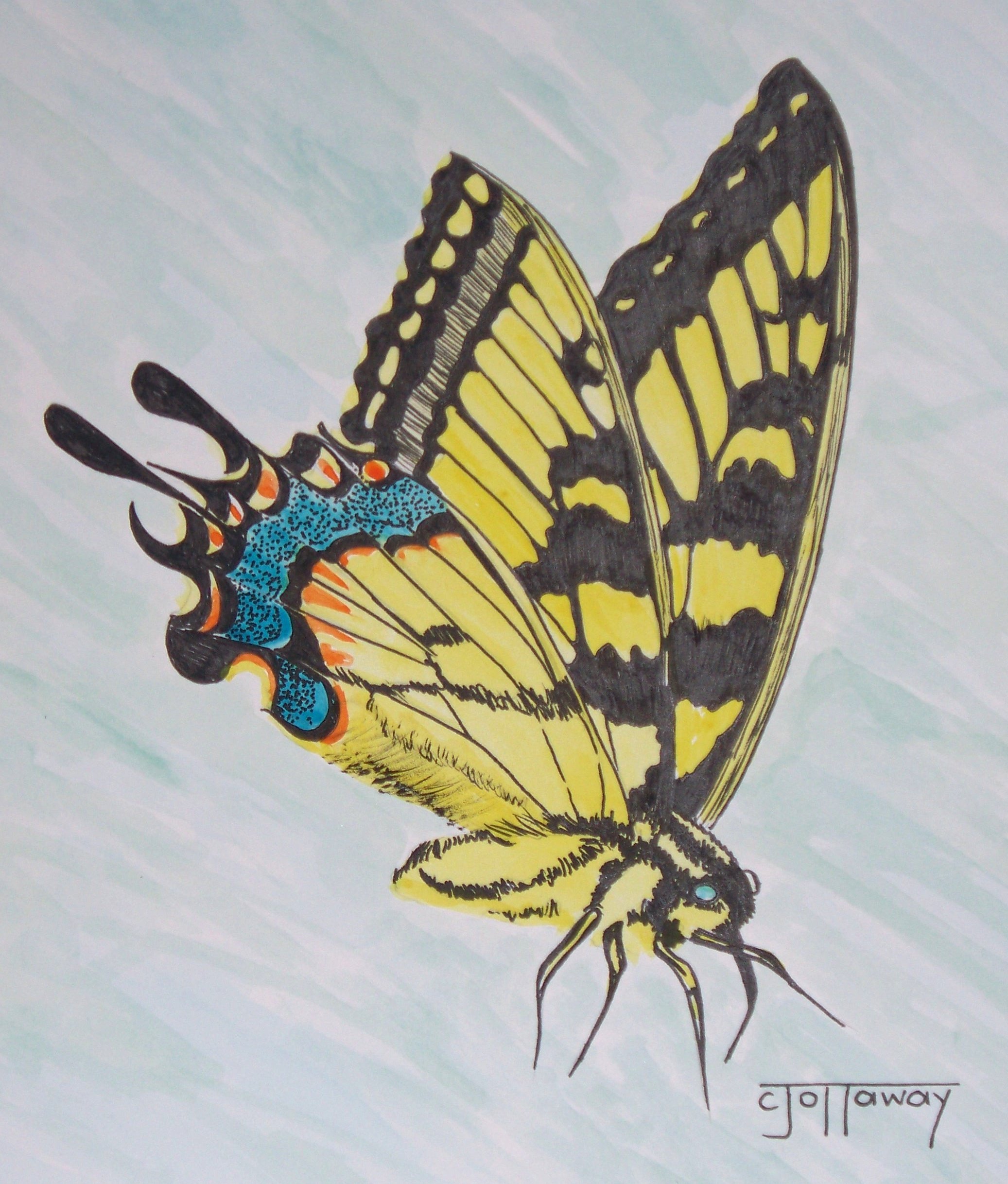Название рисунков бабочки. Бабочка цветными карандашами. Рисование бабочек цветными карандашами. Бабочки рисунки цветные. Бабочка рисунок карандашом.