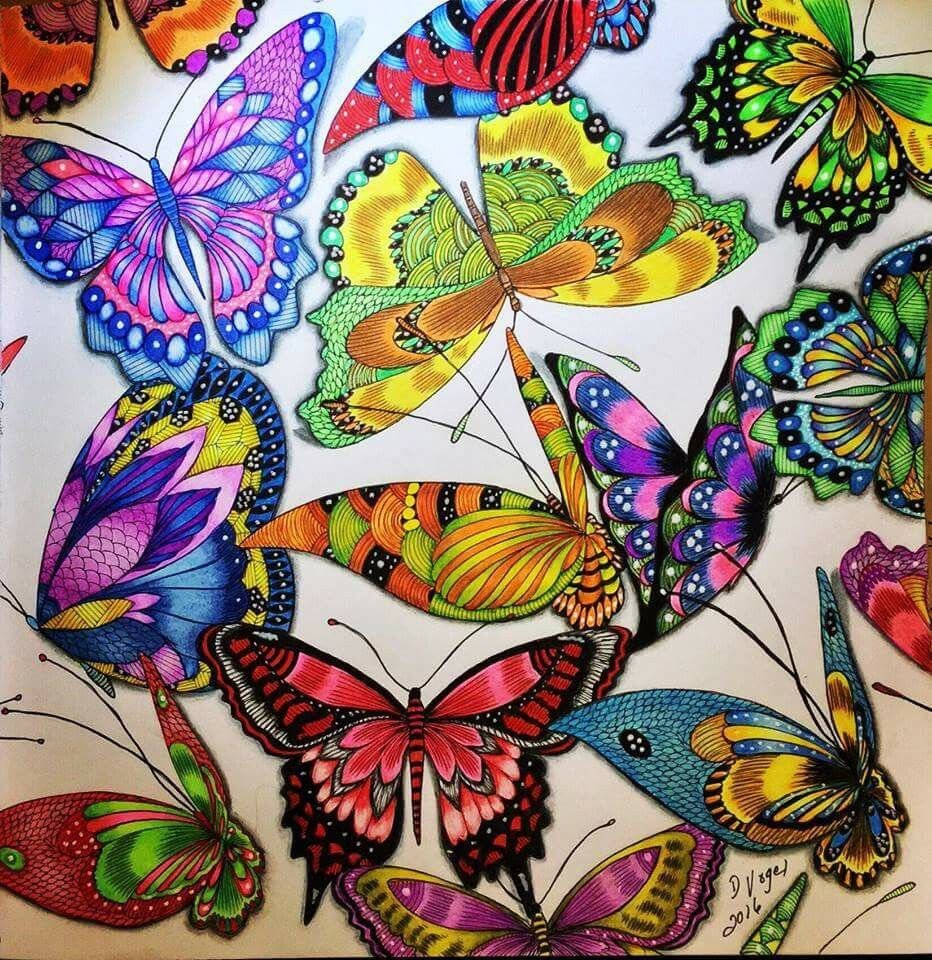Мир бабочек рисунок. Бабочка рисунок. Бабочки цветные. Рисование бабочки. Бабочки рисунки цветные.
