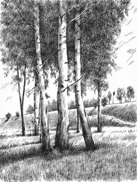 Летний пейзаж в графике