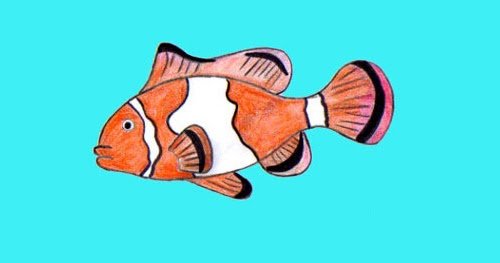 Рыба клоун карандашом