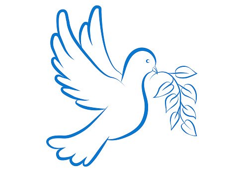 Голубь раскраска