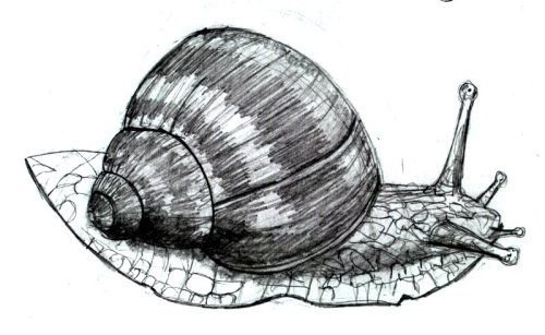 Лужанка рисунок детский