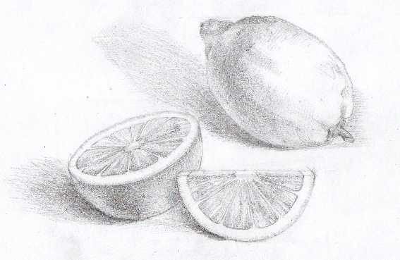 Лимон карандашом