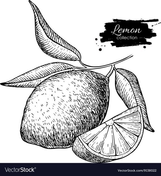 Лимон карандашом