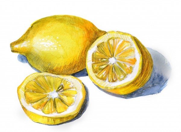 Лимон акварельными карандашами