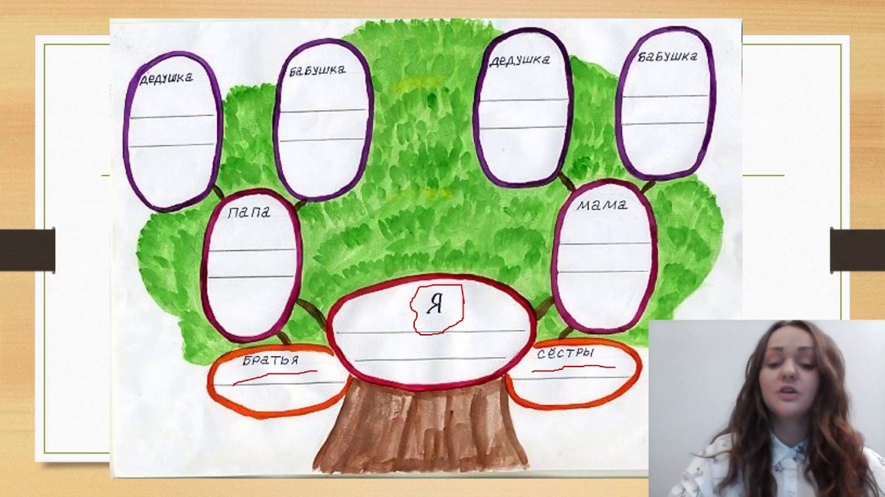 Древо семьи 2 класс окружающий мир шаблон. Дерево семьи. Генеалогическое Древо семьи. Генеалогическое дерево рисунок. Дерево семьи рисунок.