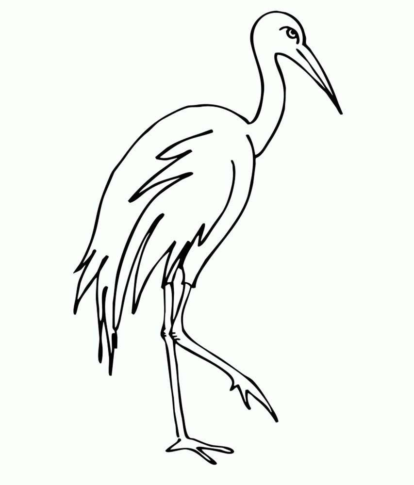 Раскраски птицы перелетные журавль раскраска