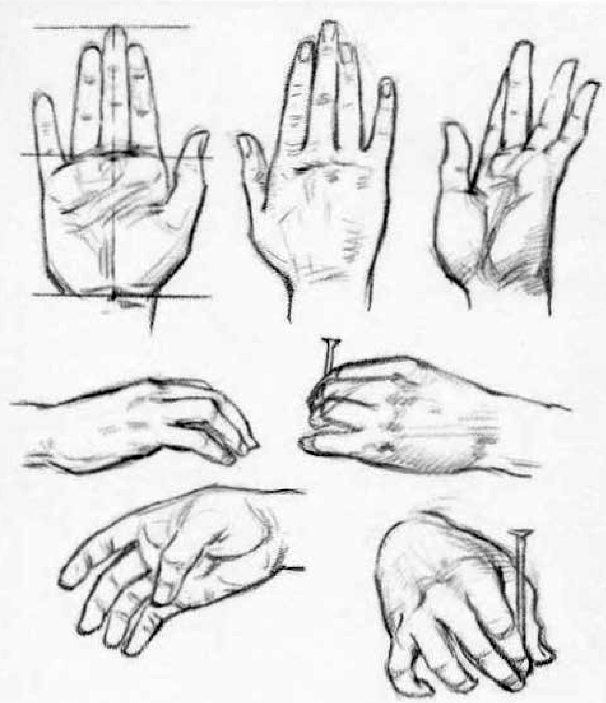 Рисование кисти руки в разных положениях