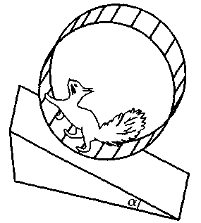 Белка в колесе раскраска