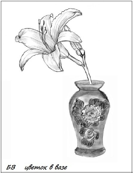 Тюльпаны рисунок