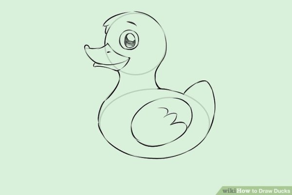 Серая шейка пошаговое рисование