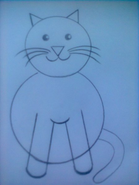 Рисование кошки в средней группе