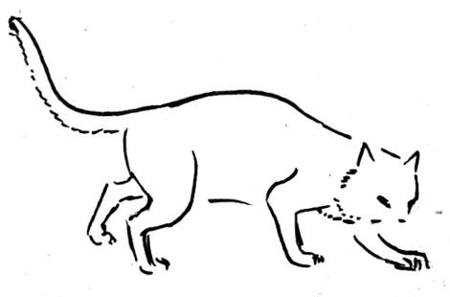 Нарисовать кота ворюгу