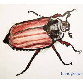 Майский Жук хрущ Майский рисунок