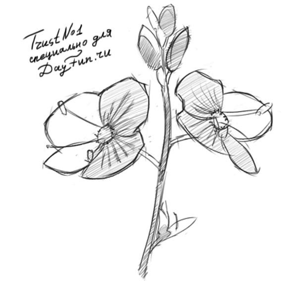 Незабудки акварелью