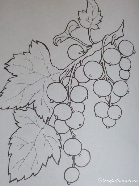 Ягоды эскиз
