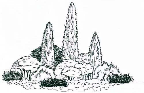 Рисуем композиции с хвойными