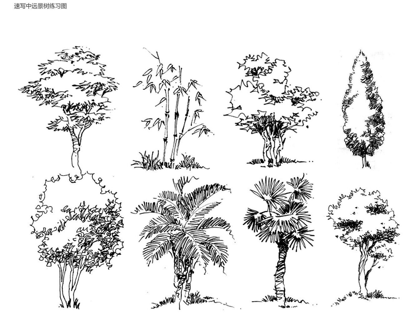 Деревья в архитектурной графике