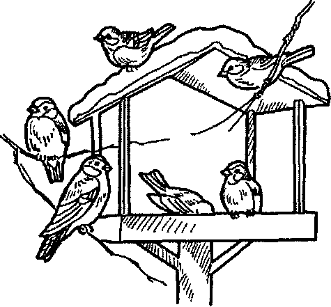 Раскраска кормушка для птиц для детей
