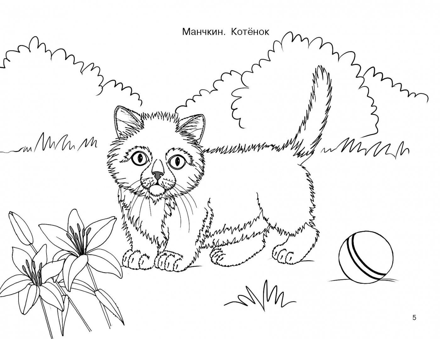 Раскраска к рассказу котенок Толстого