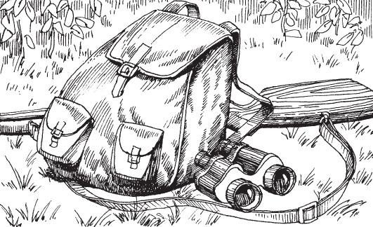 Бинокль силуэт