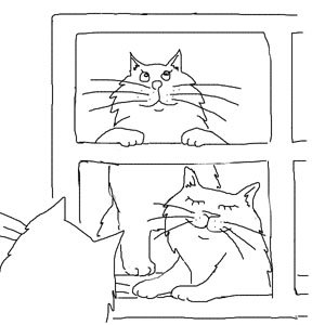 Кот на окне