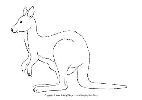 Кенгуру рисунок для детей карандашом (47 фото)