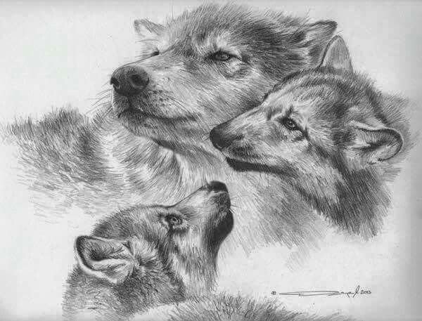 Семья Волков эскиз