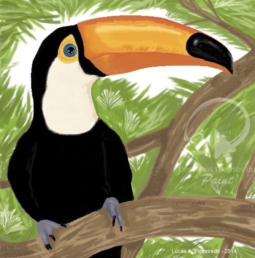 Рисуем тукана