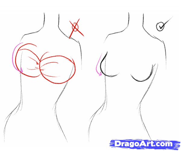 Как нарисовать грудь