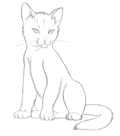 Нарисовать сидящего кота