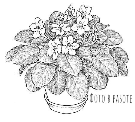 Цветок в горшке Графика