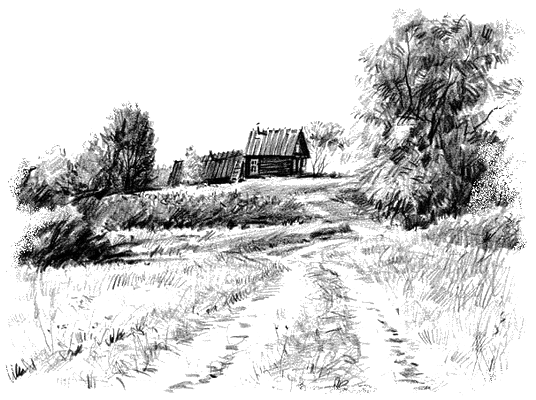 Природа россии рисунок карандашом (45 фото)