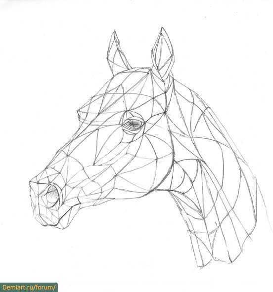 Классный рисунок про лошадь