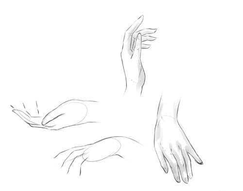 Референсы рук от плеча